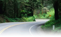 Photo Of Winding Road - Capital Financial Group